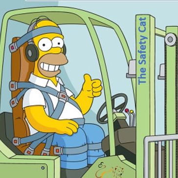 The Safety Cat Safety Training Patrick Lipscombe