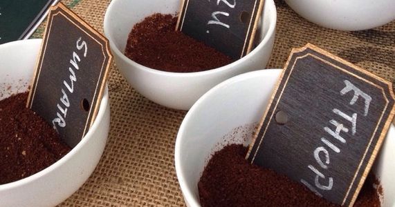  5 single origin ground coffee samples in small white bowls