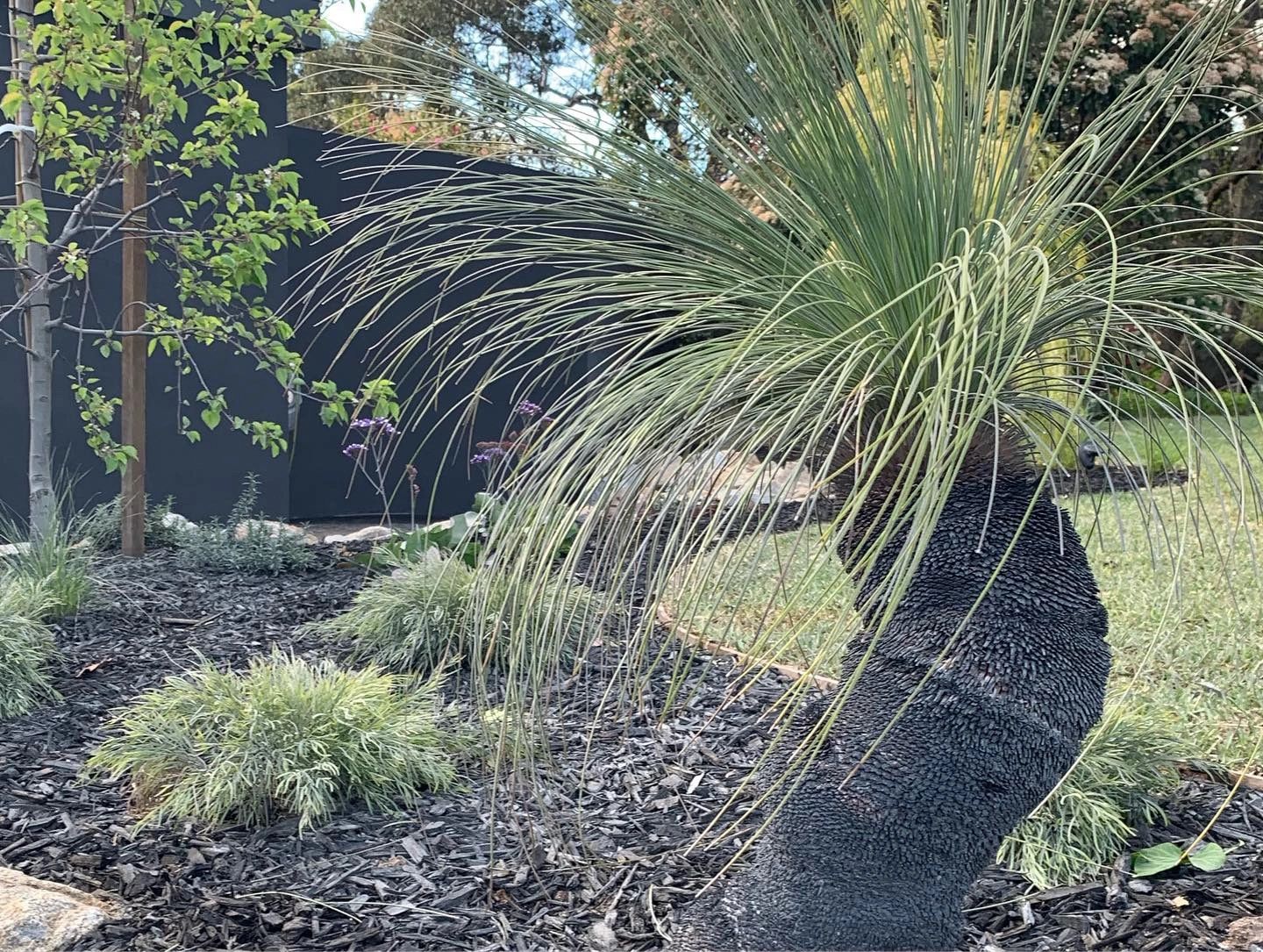 Landscaping,Paving Mayer Landscapes