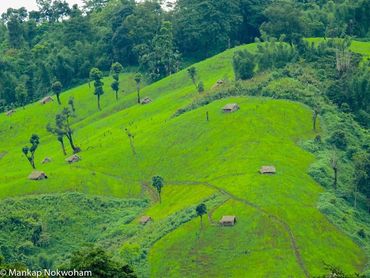 Nocte Farm (The Nocte Digest)