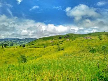 Lapnan farm (The Nocte Digest)