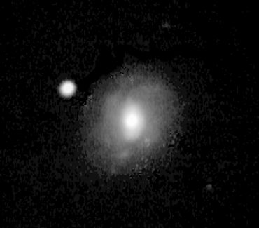 Bright core, strong emission lines and radio source the brightest of the peculiar "Seyfert galaxies"