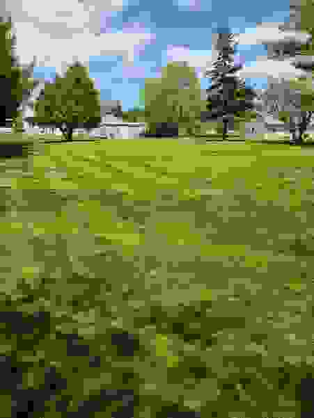 image68