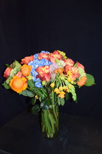 image6