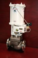 Delatite Globe Style Control Valve