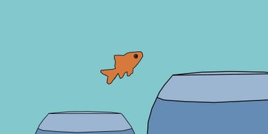 Getting a fresh perspective