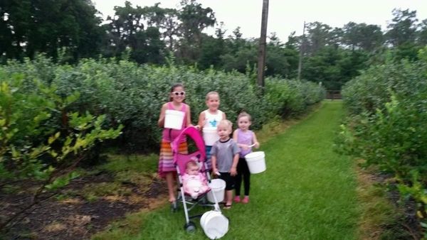 family get away , family reunion, gathering, COVID travel protection, contract guarantee, safe