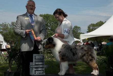 Will finishing his Championship