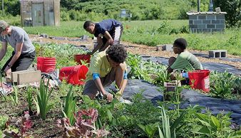 THE BEST IN LOCALLY GROWN ORGANIC FRUITS & VEGETABLES