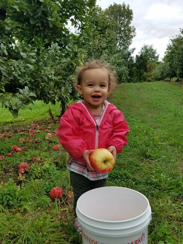 Apple Picking