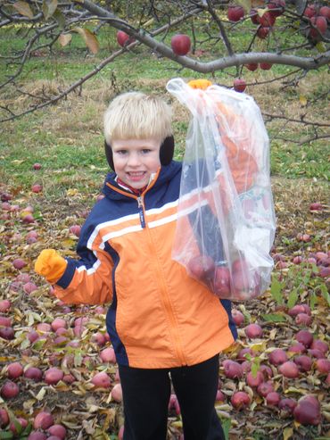 kalamazoo u-pick apples