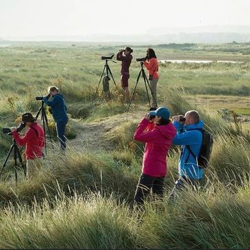 Join your friends and enjoy the birds around you for Global Big Day