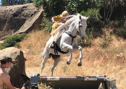 Jumping Horse, Studio Steeds