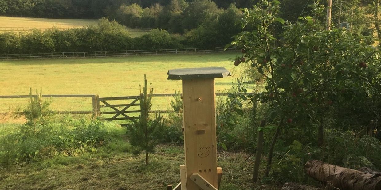 best beehive for sale for a meadow