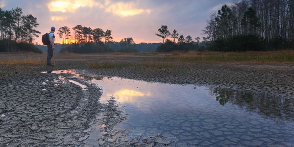 Image of wetland area and sunset