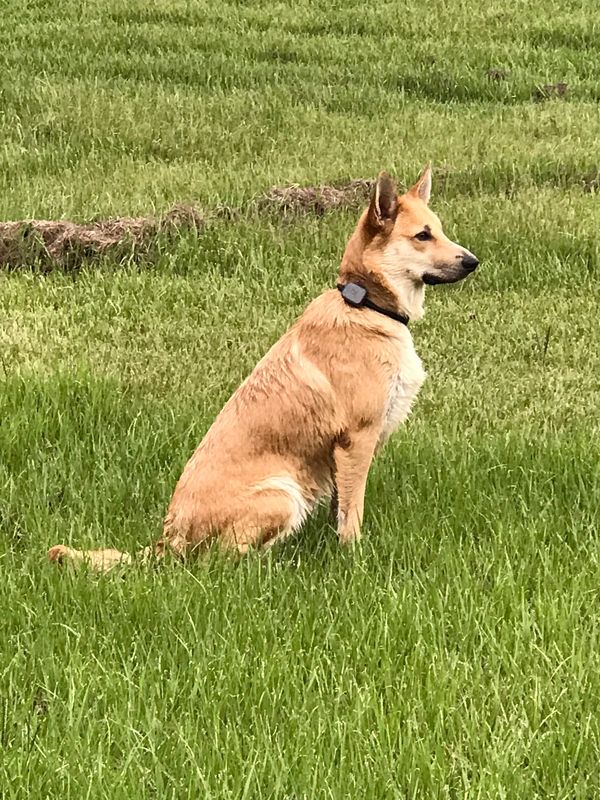 Our pretty girl all grown up!