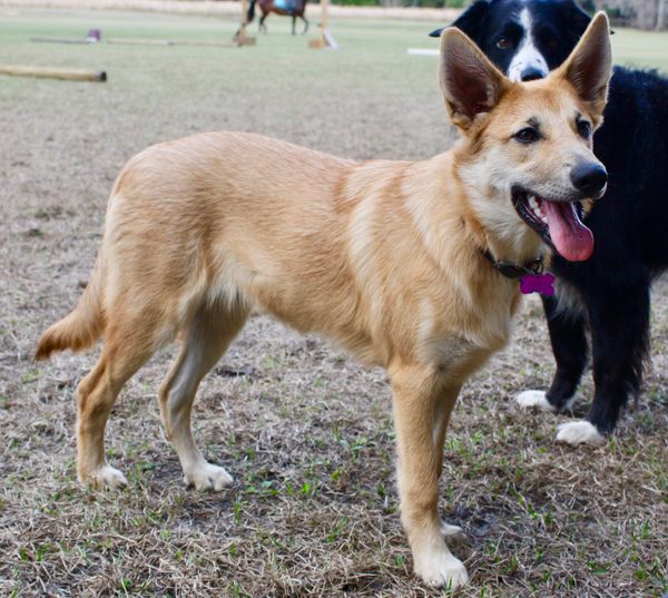 Enya as a six months old