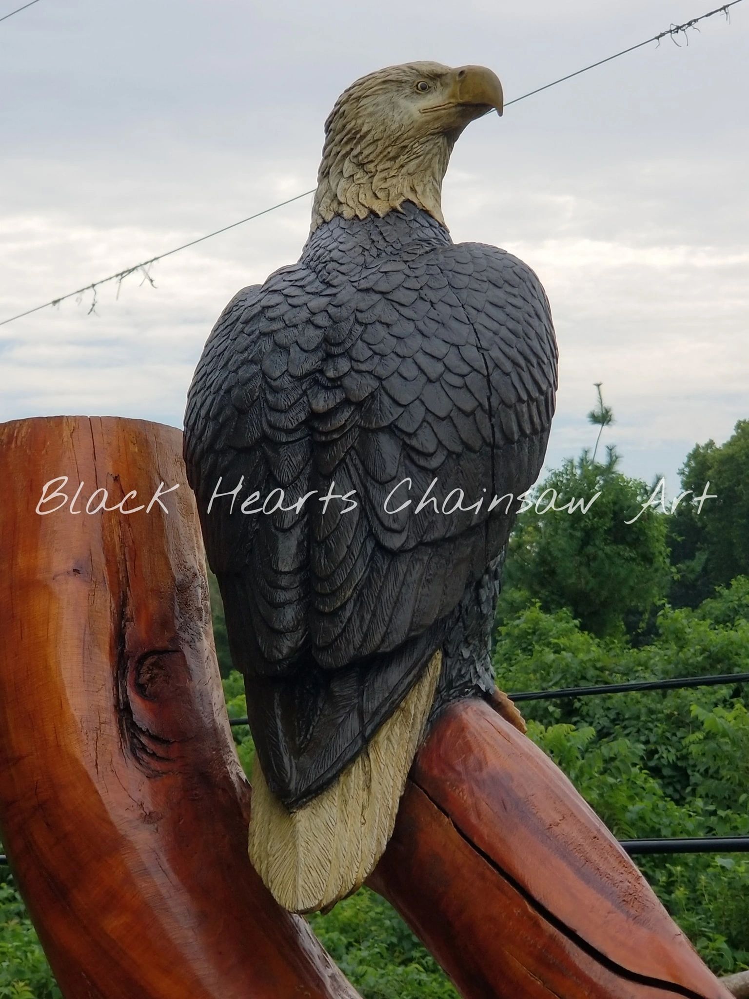 Bald Eagle Chainsaw Carving Wood Sculpture Black Hearts Chainsaw Art United States St. Louis Midwest