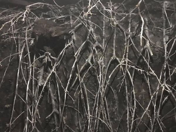 Game of Thrones Museum, Split, Croatia