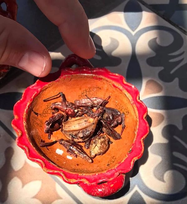 Escado, Primo Tapia, Mexico