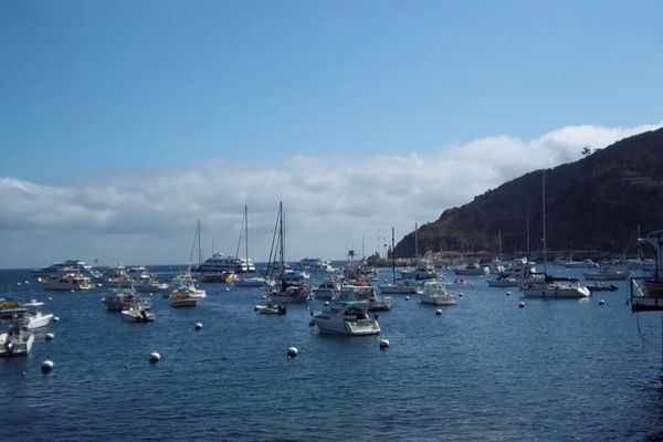 Avalon, Catalina