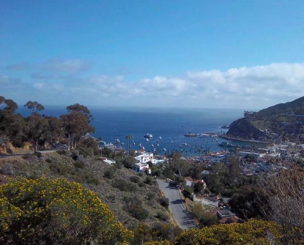 Avalon views, Catalina Island