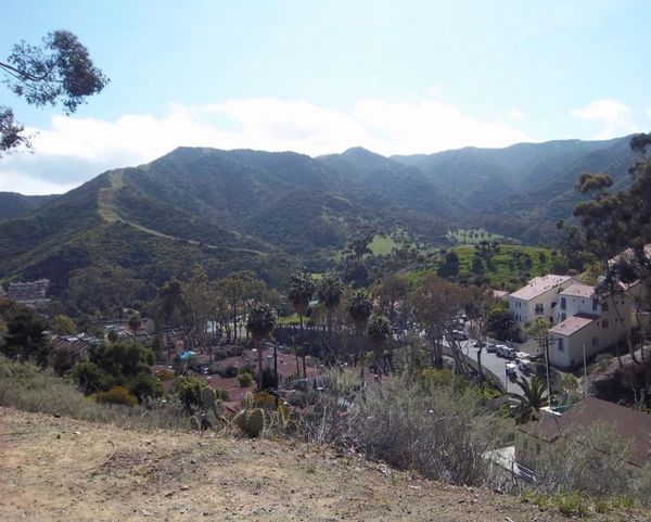 Avalon views, Catalina Island