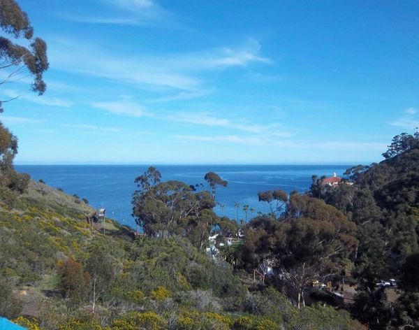 Avalon views, Catalina Island
