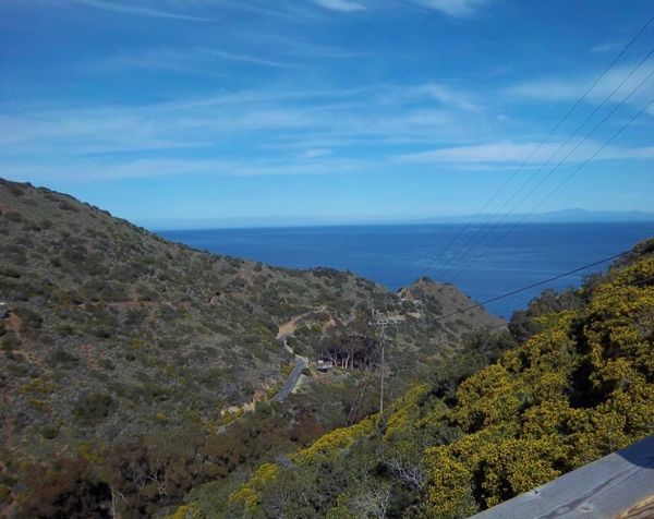 Catalina Zipline Eco Tour, Avalon, Catalina