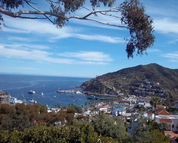 Avalon views, Catalina Island