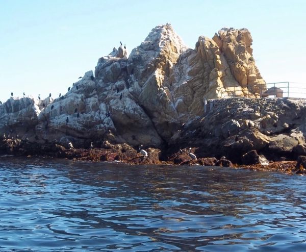 Lover's Cove, Avalon, Catalina