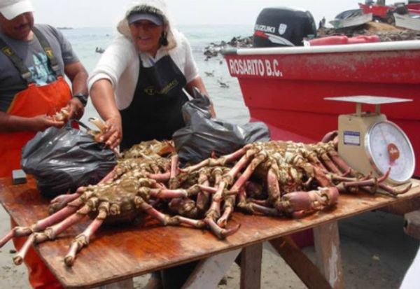 Puerto Popotla, Mexico