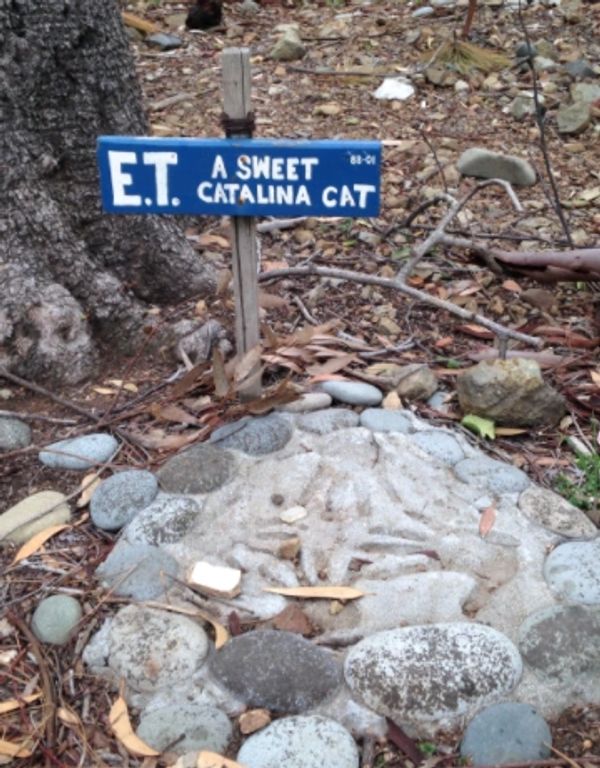 Pet Cemetery, Avalon, Catalina