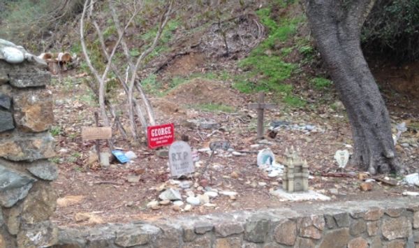 Pet Cemetery, Avalon, Catalina
