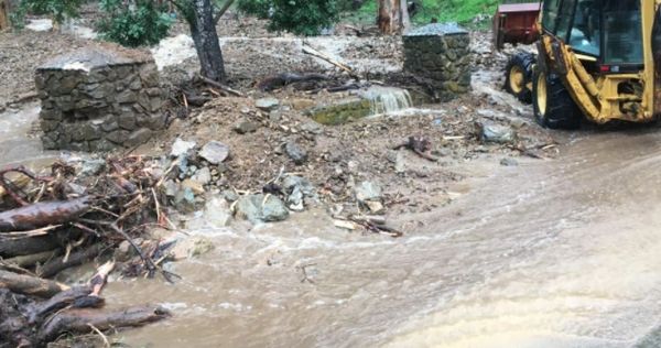 Flooding of the Pet Cemetery, Avalon, Catalina