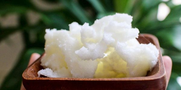 Shea butter in a wooden bowl.