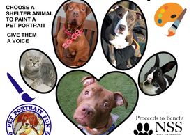 Paint for a Pawpose Pet Portrait Fun