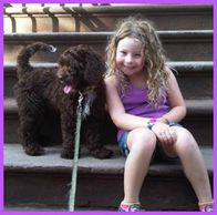 A little girl beside a labradoodle
