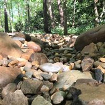 Dry Creek Bed in Raleigh, NC.