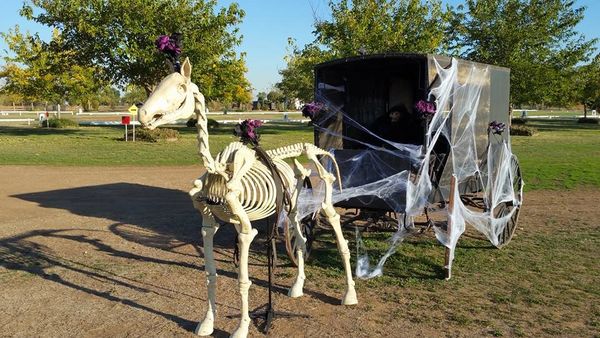 Skeleton horse pulling a decorated carriage outdoors.