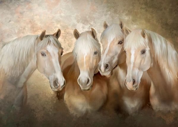 Four beige horses with light manes stand closely together against a soft background.