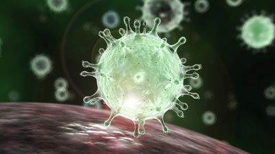 Kills bacteria and germs, inactivating numerous large envelope viruses including African Swine Fever