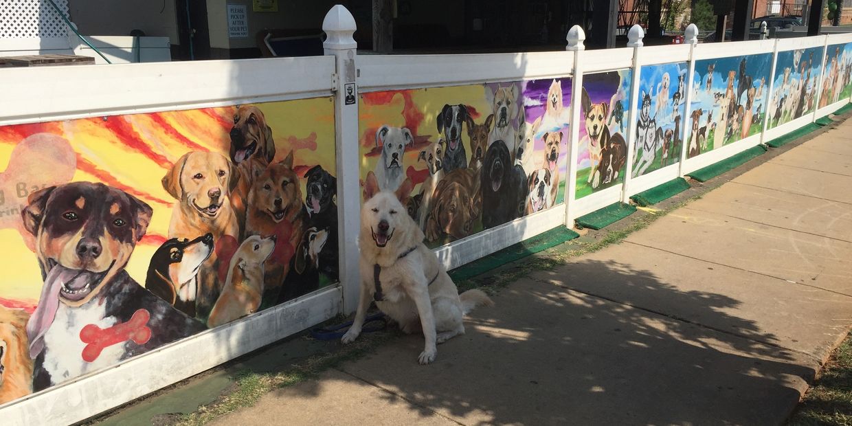 A long, short fence along the sidewalk with a variety of dog portraits painted on it
