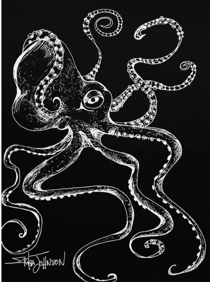 Black and white drawing of octopus. Pen and ink drawing. Coastal art-sea life-fish art-line drawing