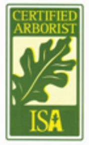 Certified Arborist on staff