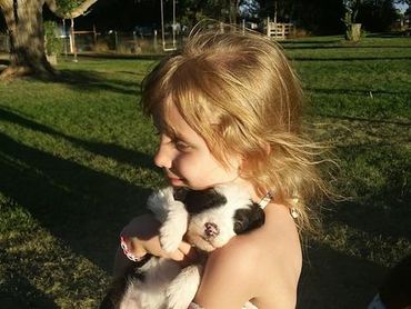 Redheaded Girl Hugging Sheepadoodle Puppy