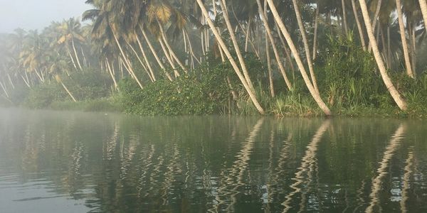 The backwaters in Kerela, India.