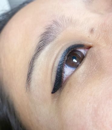Lash Lifts & Extensions Permanent Make-Up: Microblading, Eye Liner, Lip Blush & Color Neutralization