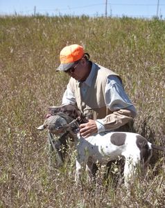 Regardless of the breed of hunting dog , training is offered to make that dog a happy retrieving dog