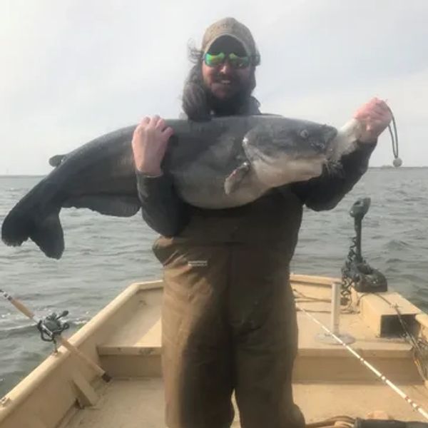 Assistant Director Daniel Kennedy Blue Cat fishing with live bait tanks